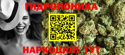 соль ск Аргун
