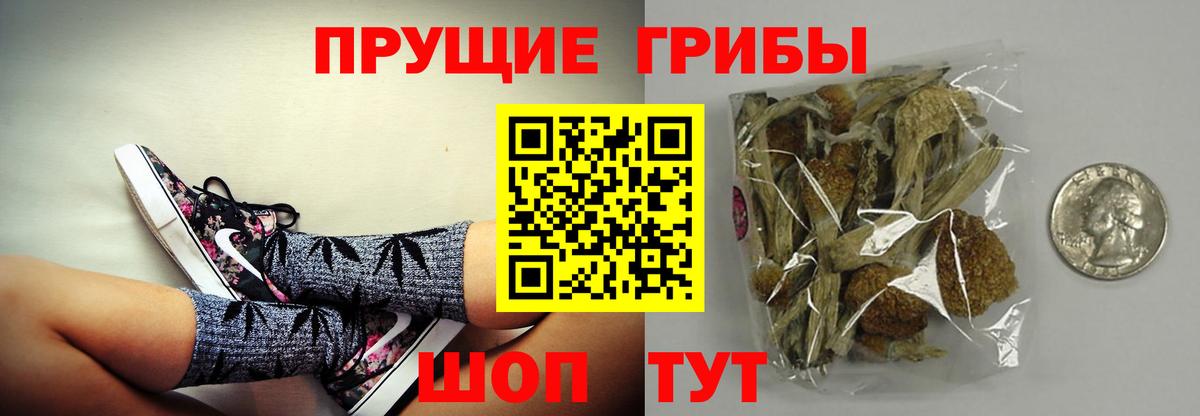 Псилоцибиновые грибы Cubensis Батайск